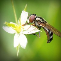 /album/a-haza-multja-es-jelene9684/photolia-a02-jpg/