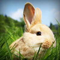 /album/a-haza-multja-es-jelene9684/photolia-a03-jpg/