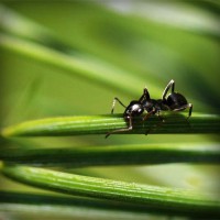 /album/a-haza-multja-es-jelene9684/photolia-a05-jpg/