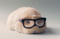 /album/fenykepgaleria/a11-jpg/